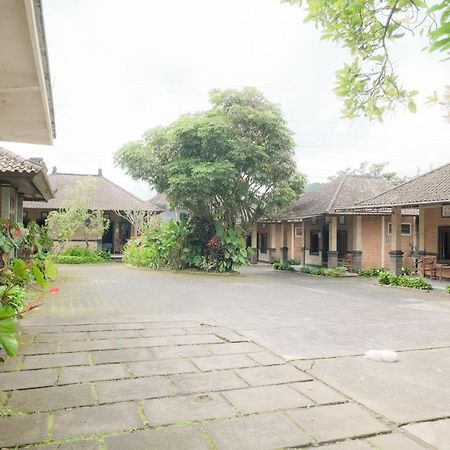 Pelangi Homestay Bedugul Redpartner Εξωτερικό φωτογραφία